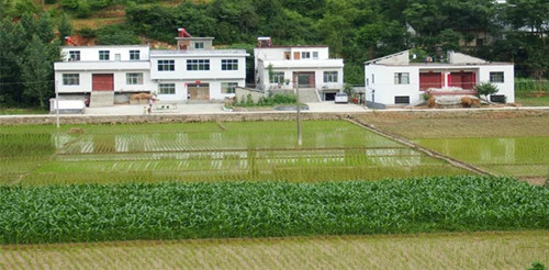 1591588360629885.jpg 田.jpg