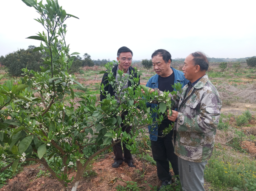 陳主席09.png 陳主席09.png