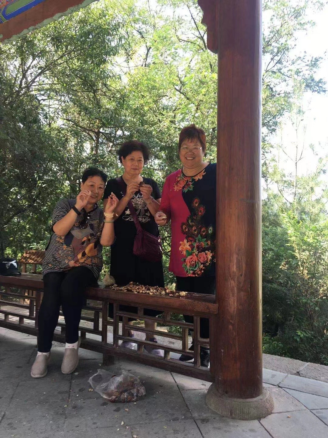 天水南郭寺作者中 天水南郭寺作者中