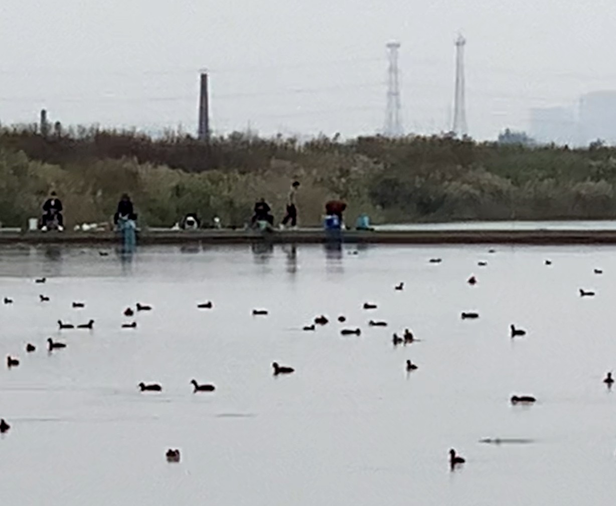 微信圖片_20221010211136_副本 微信圖片_20221010211136_副本