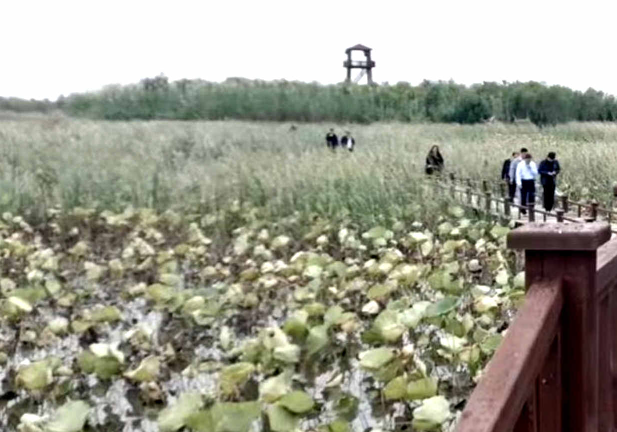 微信圖片_20221010211144_副本_副本 微信圖片_20221010211144_副本_副本